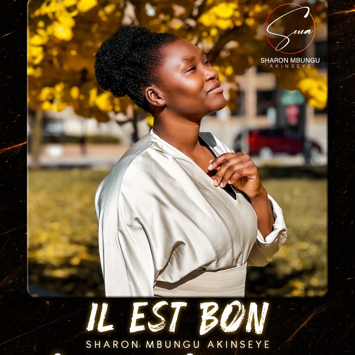Artwork for IL EST BON