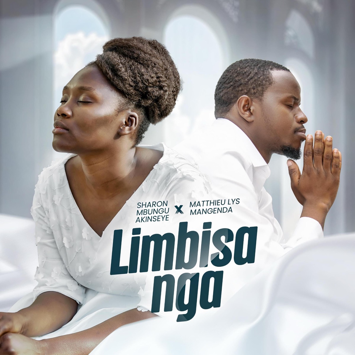 Artwork for Limbisa Nga